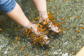 Refreshing Fish Foot Bath Spa Treatment in Outdoor Pool Area
