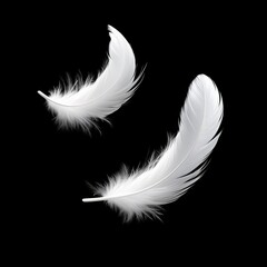 Obraz premium Delicate White Feathers Floating on Black Background - A Symbol of Lightness, Purity, and Subtle Beauty.