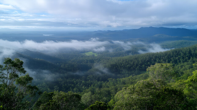 The Eungella National Park &ndash; Rainforests and waterfalls in Queensland