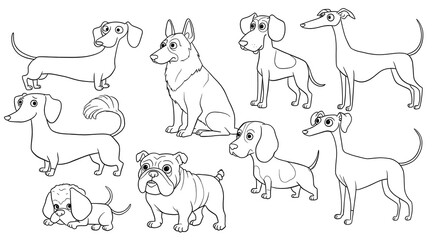 Various Dog Breeds Standing and Sitting in a Line Drawing