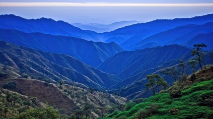 Obraz premium Blue Mountain Valley Vista