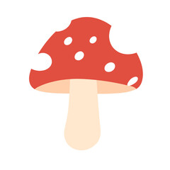 Amanita Mushroom with Red Cap and White Spots