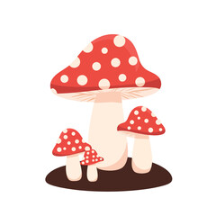 Amanita mushroom family, red & white toadstools
