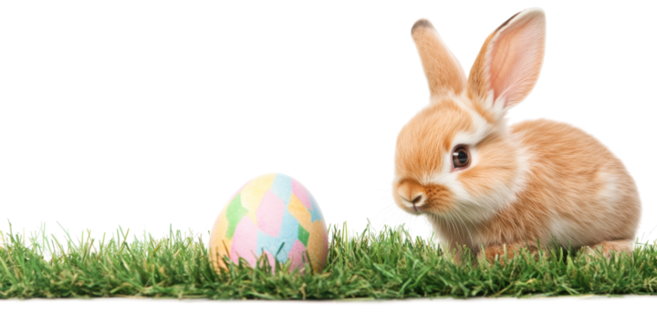 easter bunny with easter eggs