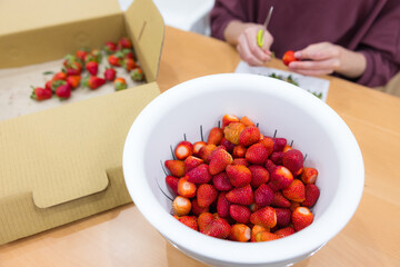 Hands cutting ripe strawberries for preparation