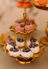 Delicious Desserts on Elegant Golden Serving Stand with Blueberries