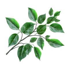 Fototapeta premium Lush Green Branch Vibrant Leaves Nature Artwork,