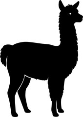 vector illustration of a lama