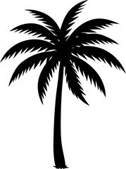 silhouette of palm tree