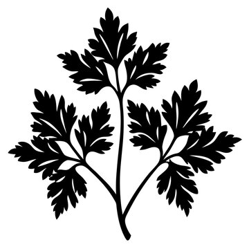 black parsley leaf silhouette on white clip art preview