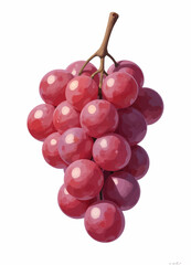 Fototapeta premium Watercolor Style Fresh Bunch of Red Grapes