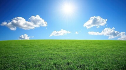 Fototapeta premium A Bright Sun Shines Over Green Grassy Field Under Blue Sky