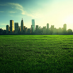 City skyline with green field in foreground at sunset