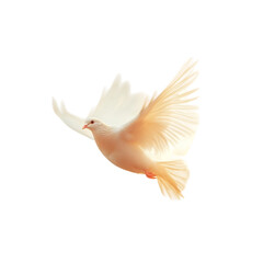 A Celestial Dove Flying Through Beams of Divine Light Isolated on Transparent Background