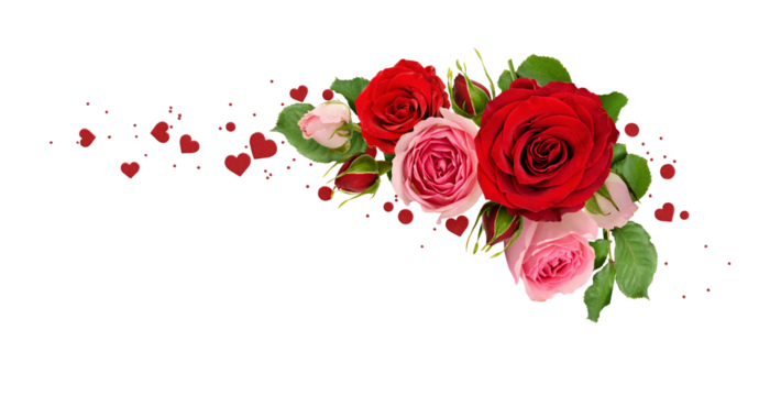 Red and pink rose flowers with green leaves and romantic confetti in a corner arrangement isolated on white or transparent background