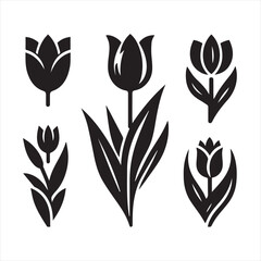Vector Set of Black and White Tulip Illustrations