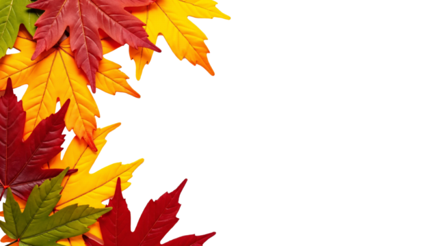 Vibrant Autumn Leaves Collection Isolated on Transparent Background for Seasonal Decor and Design Projects