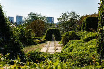 Garden path with stone slabs leading through an archway covered in green vines, surrounded by lush plants and trees. Urban park with city buildings in the background under a clear sky.
