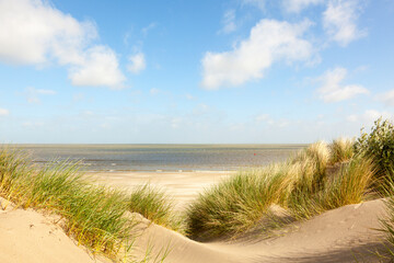 Dunes at the beach of Knokke-Heist, Belgian North Sea Coast
