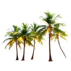 Obraz premium A cluster of vibrant palm trees with lush green fronds swaying gently.