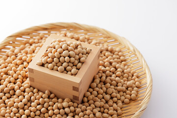 大豆　Soybean