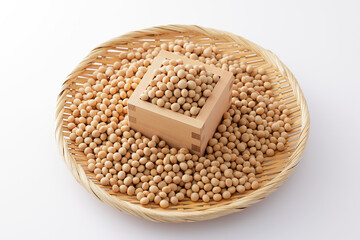大豆　Soybean