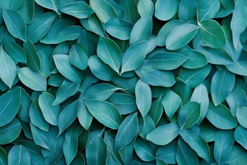 background of green feathers