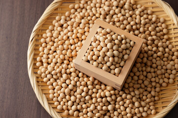 大豆　Soybean