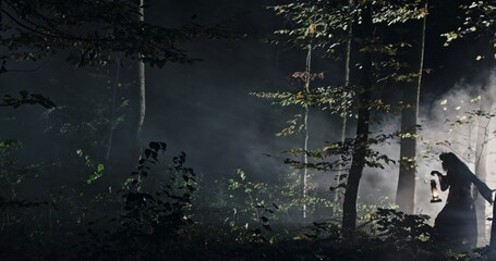 The enigmatic figure lurks in the fogladen forest, creating an atmosphere filled with adventure