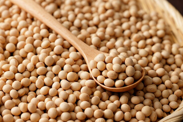 大豆　Soybean