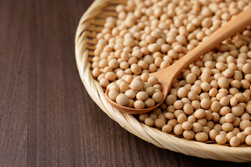 大豆　Soybean