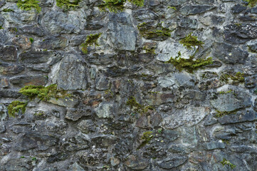 Old stone wall, moss on an old stone wall texture background