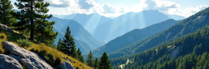 Fototapeta premium Ancient pines blanket steep, rocky mountain slopes , natural beauty, shadows