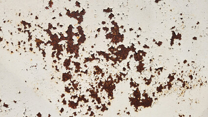 The dusky, corroded spots on the painted metal door surface give it a weathered and rustic charm, reflecting years of exposure to the elements.