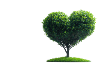 A heart-shaped tree symbolizing love and nature, set against a white background, ideal for eco-friendly themes and romantic landscapes.