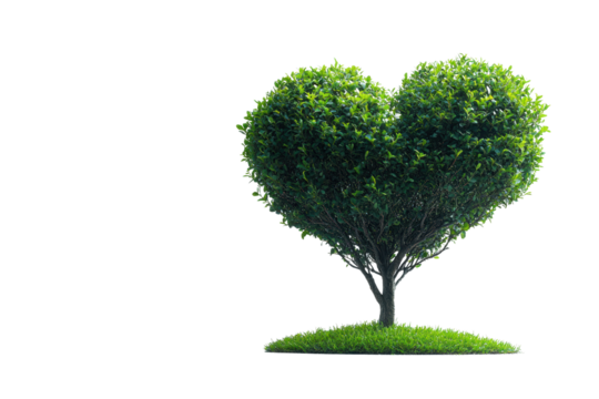 A heart-shaped tree symbolizing love and nature, set against a white background, ideal for eco-friendly themes and romantic landscapes.