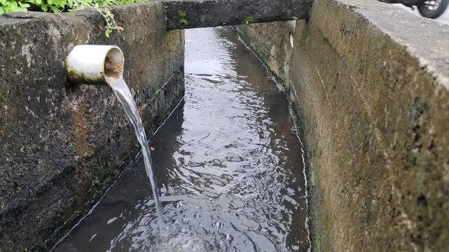 A close-up of a drainpipe that drains clear water out into a sewer, with a cement wall and wild plants in the background.
