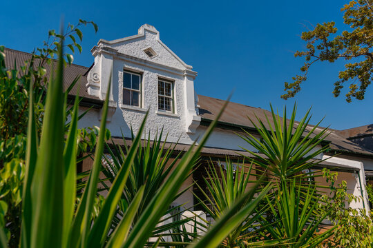 Beautiful colonial facade in white color on Dorp street, famous alley in Stellenbosch on a sunny summer day. Visible greenery and foliage with blue skies