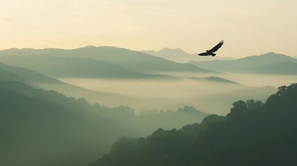 Soaring bald eagle with its wings spread wide gliding above a misty mountain range at dawn