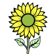 colorful sun flower silhouette yellow  isolated vector with white background.
