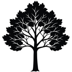 Obraz premium a silhouette of a tree with lush foliage.