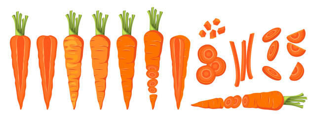 Set of carrots. Whole carrots, slices, cut in half. Vector illustration.
