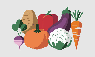  Modern vector-style illustration of various vegetables, including a potato, red bell pepper, tomato, eggplant, pumpkin, cauliflower, radish, easily editable.
