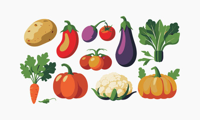  Modern vector-style illustration of various vegetables, including a potato, red bell pepper, tomato, eggplant, pumpkin, cauliflower, radish, easily editable.