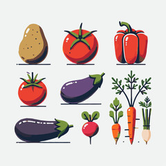  Modern vector-style illustration of various vegetables, including a potato, red bell pepper, tomato, eggplant, pumpkin, cauliflower, radish, easily editable.