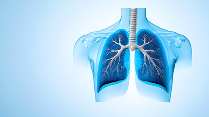 High-contrast x-ray image of lungs and chest cavity medical analysis digital art healthcare environment scientific viewpoint respiratory health