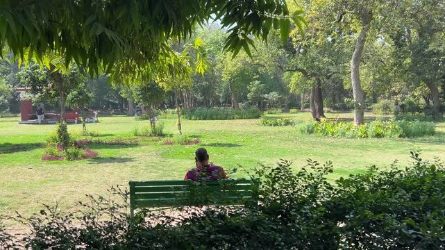 Back shot of a man sitting on a wooden bench in Picnic hut Park in Ashok Vihar, India on a sunny day