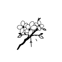 A minimalist black and white illustration of cherry blossom flowers blooming on a branch, against a blank white background.