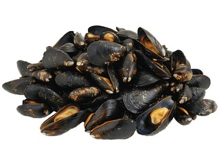 A large heap of fresh mussels displayed on a white surface