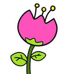 vector illustration of a pink flower